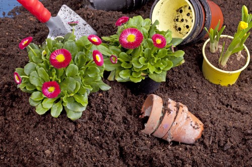Landscaping in West Harrow with patio and planted borders