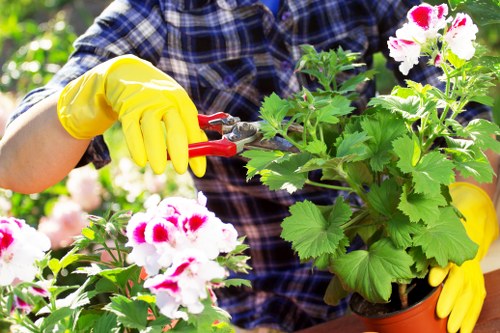 Gardening services in West Harrow maintaining a neat residential garden