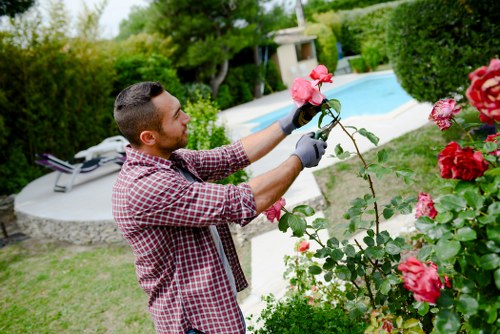 Seasonal gardening services in West Harrow with pruning and leaf clearance