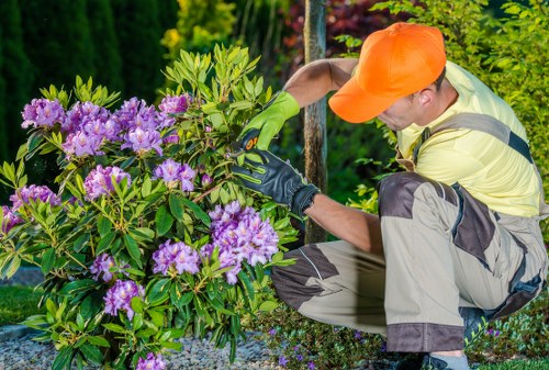 Garden care in West Harrow with healthy lawn and planted beds