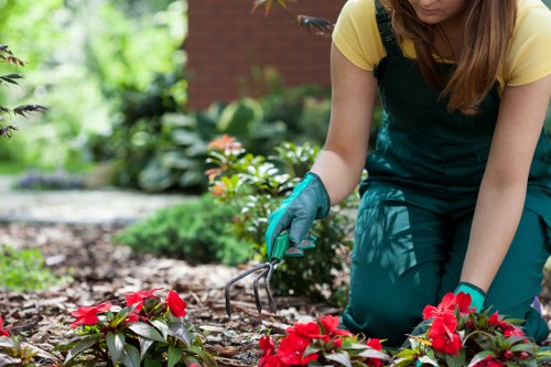 Professional gardener carrying out scheduled garden work