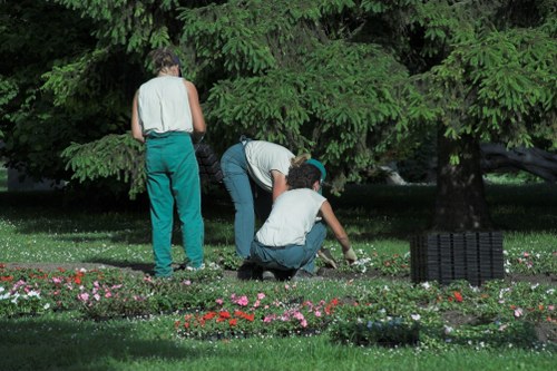 West Harrow garden maintenance work showing pruning and plant care