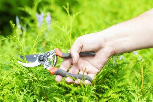 Accessibility support notice for local gardening services