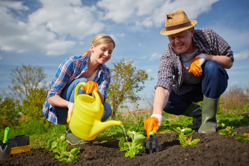 Professional garden waste removal and hedge cutting in West Harrow