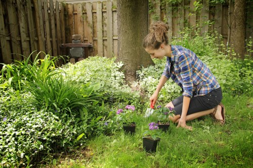 Freshly cut hedge creating a tidy garden boundary in West Harrow