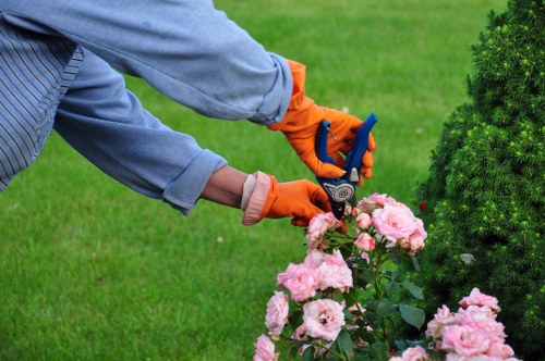 Completed garden maintenance work under clear service terms