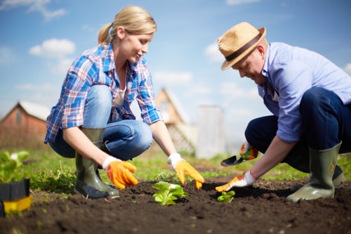 Image of a final complaint review for garden services