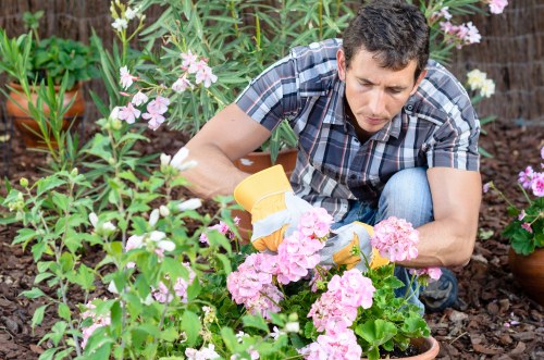 Garden clearance materials separated for lawful disposal