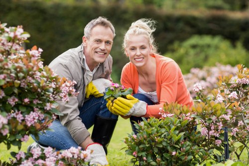 Professional garden upkeep in West Harrow improving kerb appeal