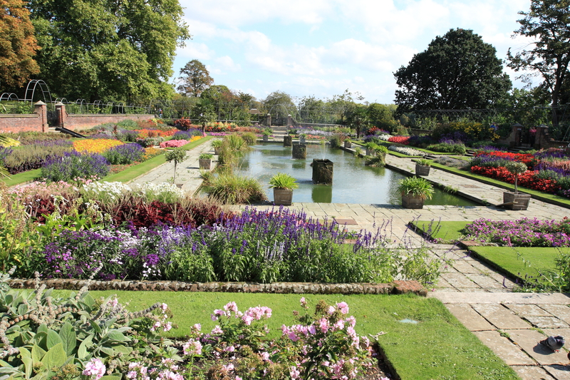 garden outdoor space