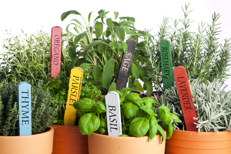 Garden yard