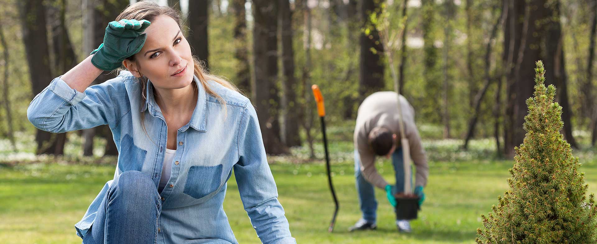 Gardeners West Harrow